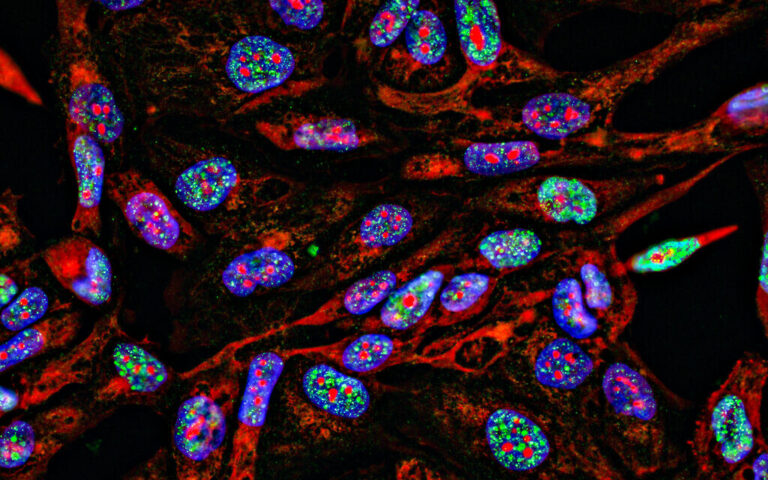 L'alimentation « bio » et l'oncologie de précision seront au centre du sommet biomédical à Tel-Aviv
