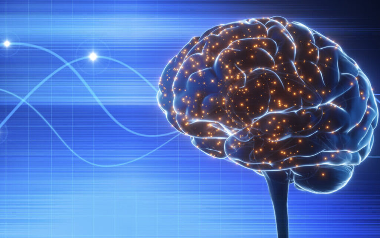 Une nouvelle théorie israélienne audacieuse sur le cerveau présentée comme une percée pour la médecine et l'informatique