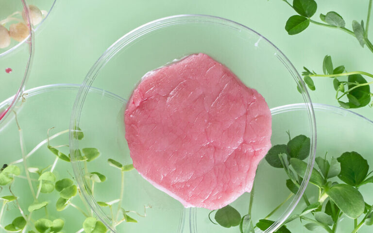 Le consortium israélien de la viande cultivée démarre avec une subvention gouvernementale de 18 millions de dollars