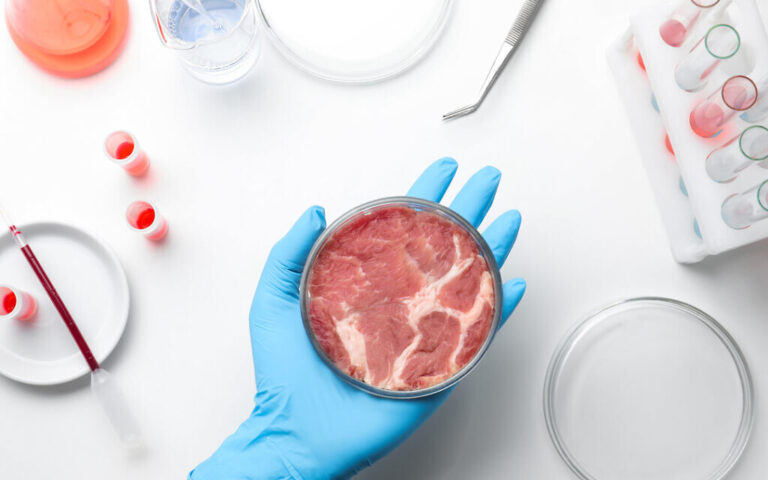 Tnouva renforce ses opérations de technologie alimentaire avec une nouvelle entreprise de viande cultivée