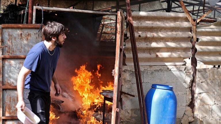 Des colons juifs de Cisjordanie attaquent des militants des droits humains