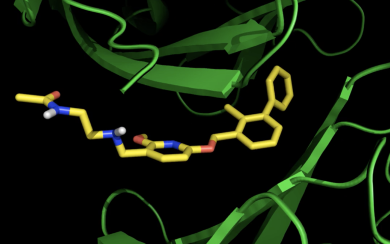 Des scientifiques israéliens se précipitent pour proposer la première immunothérapie sous forme de pilule au monde contre le cancer
