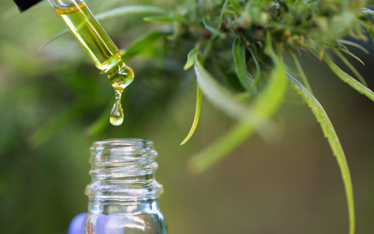 Étude : Les composés du cannabis empêchent le coronavirus de pénétrer dans les cellules
