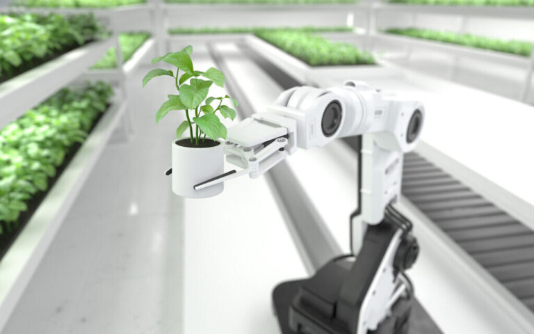 Israël et la Corée du Sud lancent un nouveau programme de coopération technologique en robotique