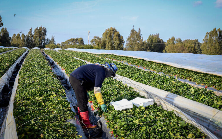 Jérusalem et Tel Aviv occupent la quatrième place dans la liste des meilleurs écosystèmes mondiaux d'agtech