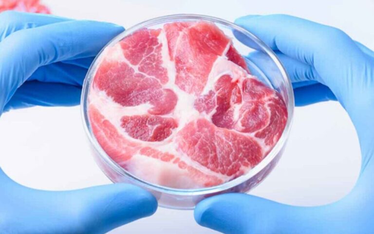 La viande de laboratoire abordable se rapproche de votre assiette