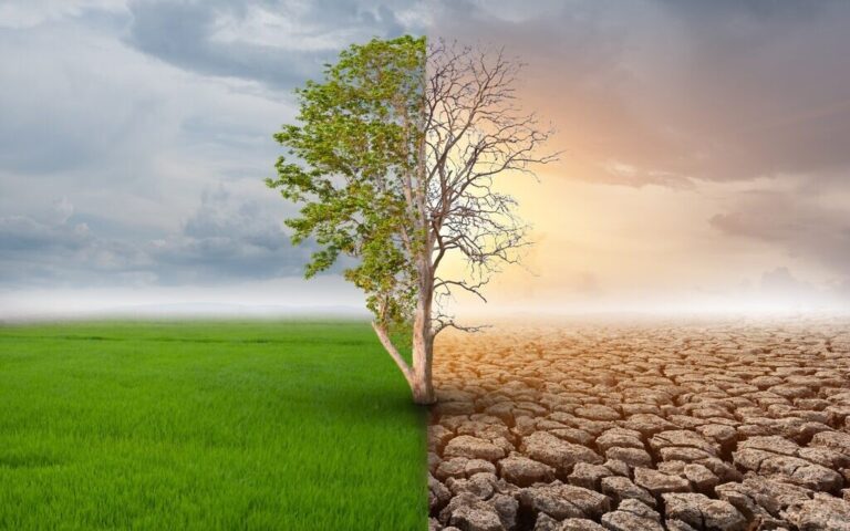 Les investisseurs ont versé 2,2 milliards de dollars dans les entreprises israéliennes de technologie climatique en 2021 – rapport