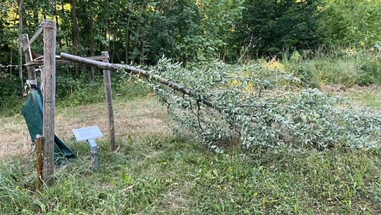 Les mémoriaux de l'Holocauste à Buchenwald et Berlin vandalisés la même semaine