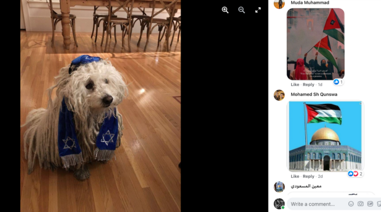 Mark Zuckerberg a partagé une photo de son chien portant une kippa.  Il a été « inondé » de commentaires antisémites.