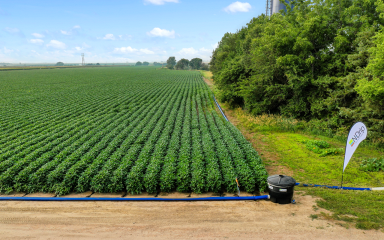 PepsiCo fait appel à la startup israélienne N-Drip pour une technologie d'irrigation goutte à goutte