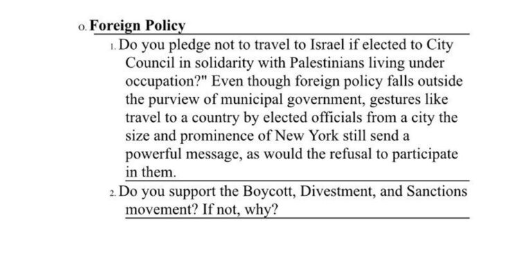 "Vous engagez-vous à ne pas voyager en Israël ?", demandent les socialistes démocrates aux candidats au conseil de New York
