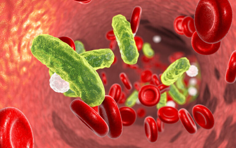 La technologie israélienne "qui sauve des vies" aide à identifier les patients les plus à risque d'infections sanguines