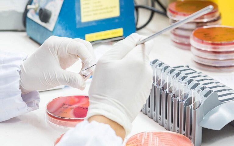 Une étude israélienne prouve que les "mutations silencieuses" peuvent aider à détecter le cancer et à prédire la survie