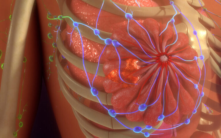 Une recherche israélienne suggère une nouvelle voie pour prédire et prévenir les rechutes du cancer