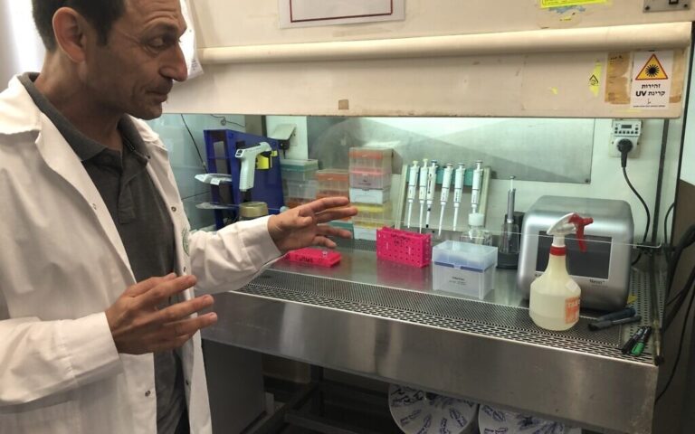 La technologie israélienne vise à bloquer l'éclosion de milliards de poussins mâles destinés à l'abattage