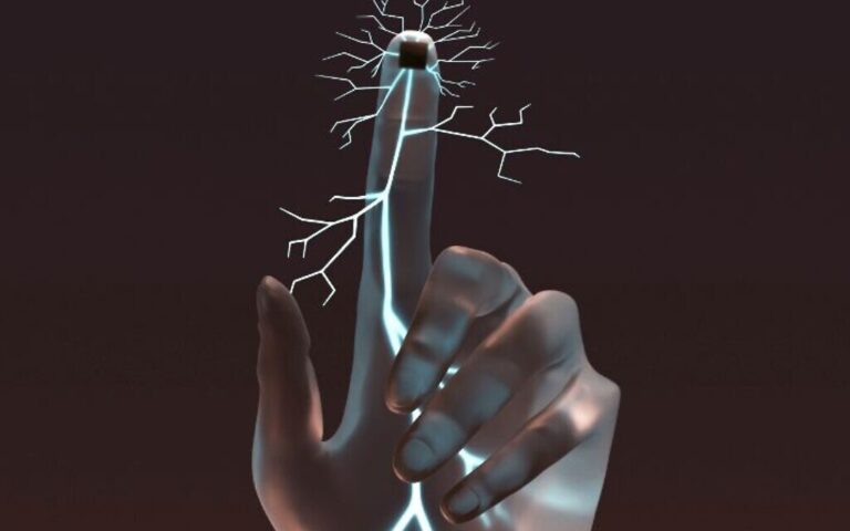 Une étude israélienne offre l'espoir de « recâbler » les nerfs pour restaurer le sens du toucher perdu