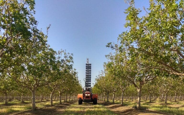 La startup Agtech Edete apporte la technologie aux cultures pollinisées par le vent pour un meilleur rendement