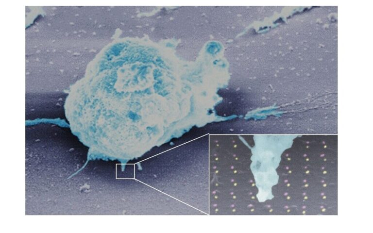 La nouvelle nano-puce israélienne de « cancer artificiel » aide à tester de nouveaux traitements