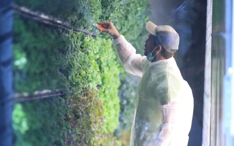 Vertical Field pour ériger des installations agricoles pour les seniors en Californie