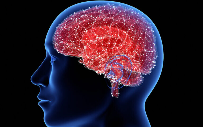 Des scientifiques israéliens disent qu'ils ont ouvert la voie pour désactiver l'"interrupteur de la faim" du cerveau