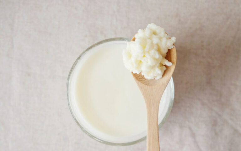 Un laboratoire israélien "guérit" des souris d'une inflammation de type COVID en utilisant des molécules de yaourt