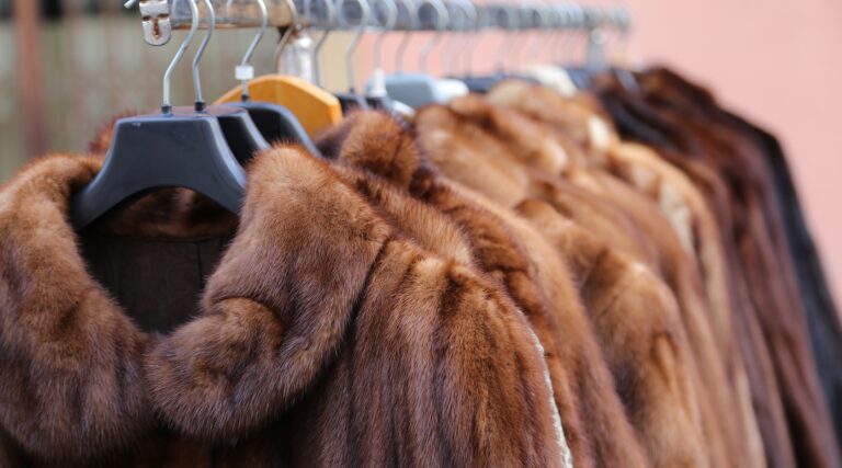 Israël interdira la plupart des ventes de fourrures animales, selon un ministre du gouvernement