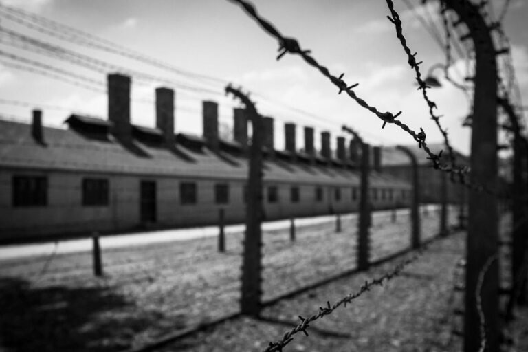 Je suis un survivant de l'Holocauste.  La gauche représente une énorme menace pour les Juifs.