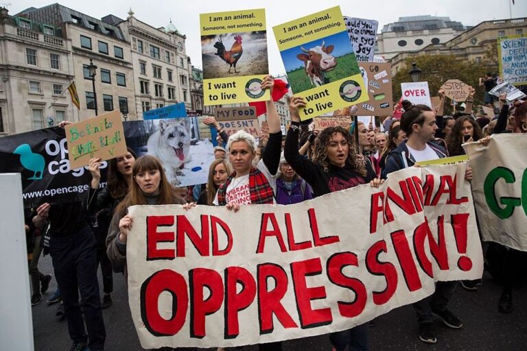 L'environnementalisme antisémite est la dernière menace pour la justice sociale des Juifs