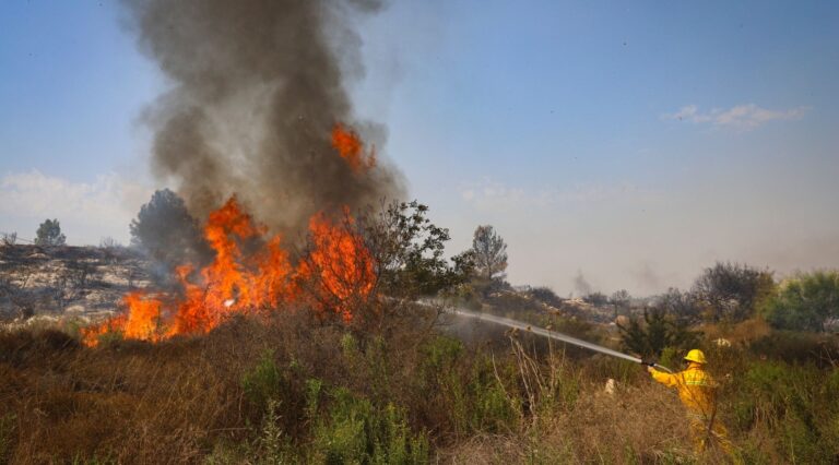 Les pompiers israéliens combattent 250 incendies pendant un week-end chaud et sec