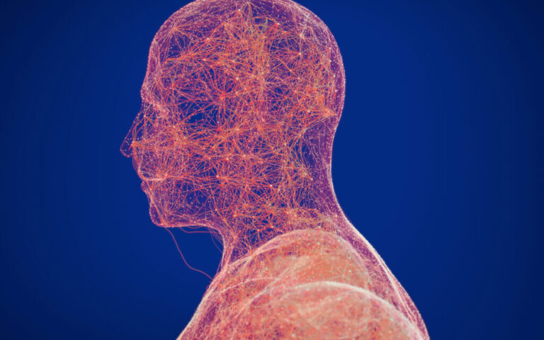 Un laboratoire israélien « éteint » les connecteurs cérébraux, renforçant les efforts pour traiter les troubles