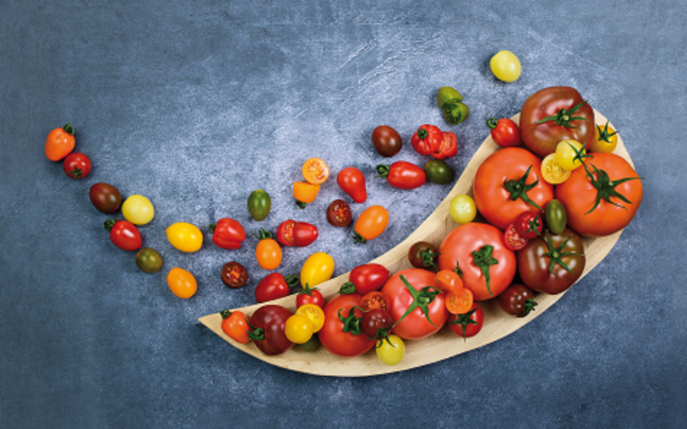 Une entreprise Agtech découvre des marqueurs pour rendre les tomates résistantes au redoutable virus