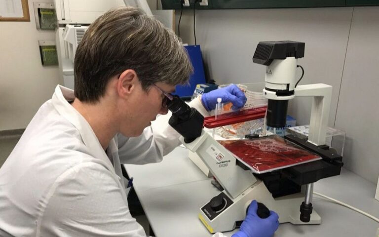 L'espoir grandit pour les patients atteints d'un cancer du sang, alors que l'essai clé de la société de thérapie cellulaire réussit