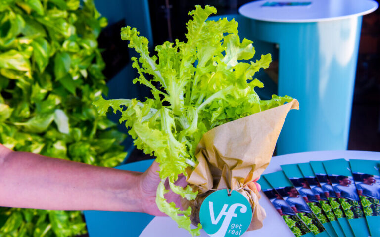 Vertical Field d'Israël signe un accord pour déployer son système agricole aux EAU