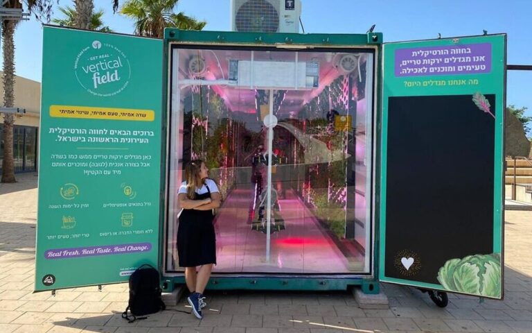 Vous avez du chou frisé : une chaîne d'épicerie vend des feuilles de salade et des herbes cultivées sur un " mur vert "