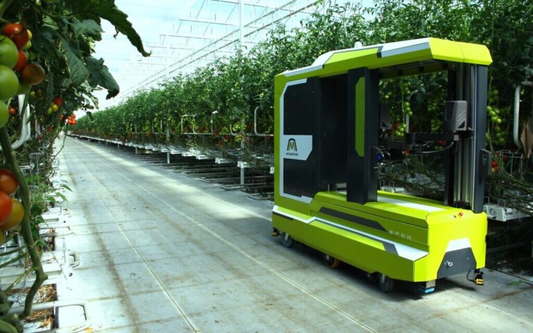 Une start-up israélienne développe le premier robot IA pour cueillir des tomates