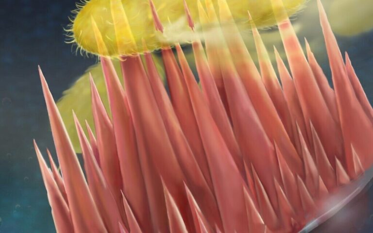 Une découverte israélienne combat la résistance aux antibiotiques en « piquant les bactéries à mort »