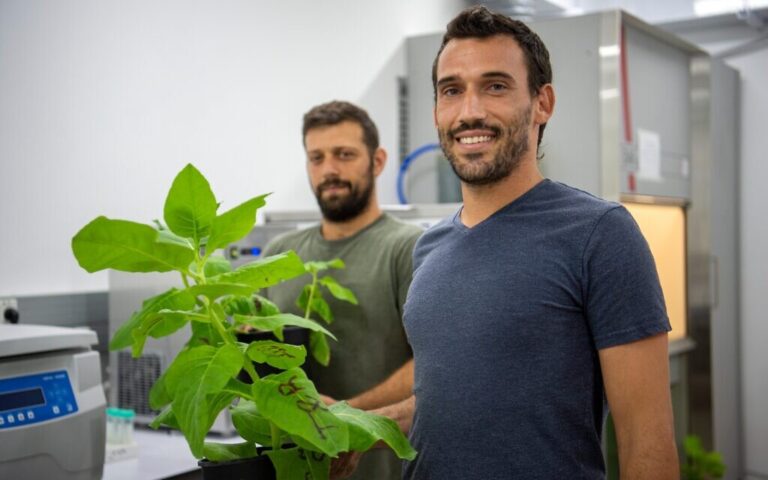 Une start-up agrotech israélienne récolte 6 millions de dollars pour du lait et du fromage sans vache à base de laitue