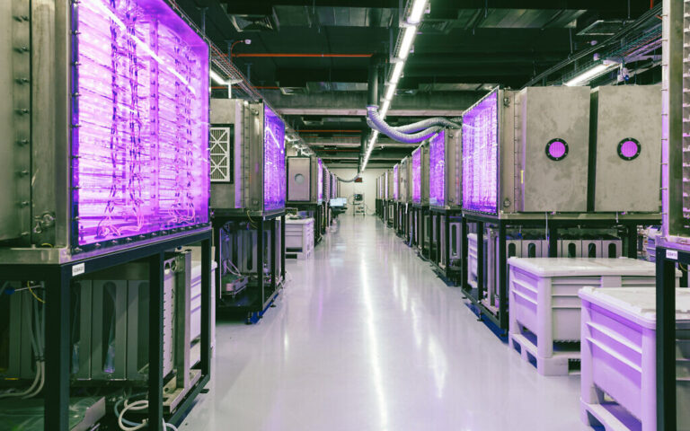 Agriculture 4.0 : une startup israélienne met en place une ferme urbaine intelligente pour des superaliments verts frais