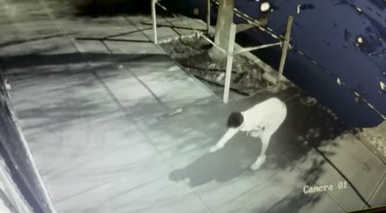REGARDER: Un homme sculpte 30 croix gammées dans du béton humide sur le trottoir de Brooklyn