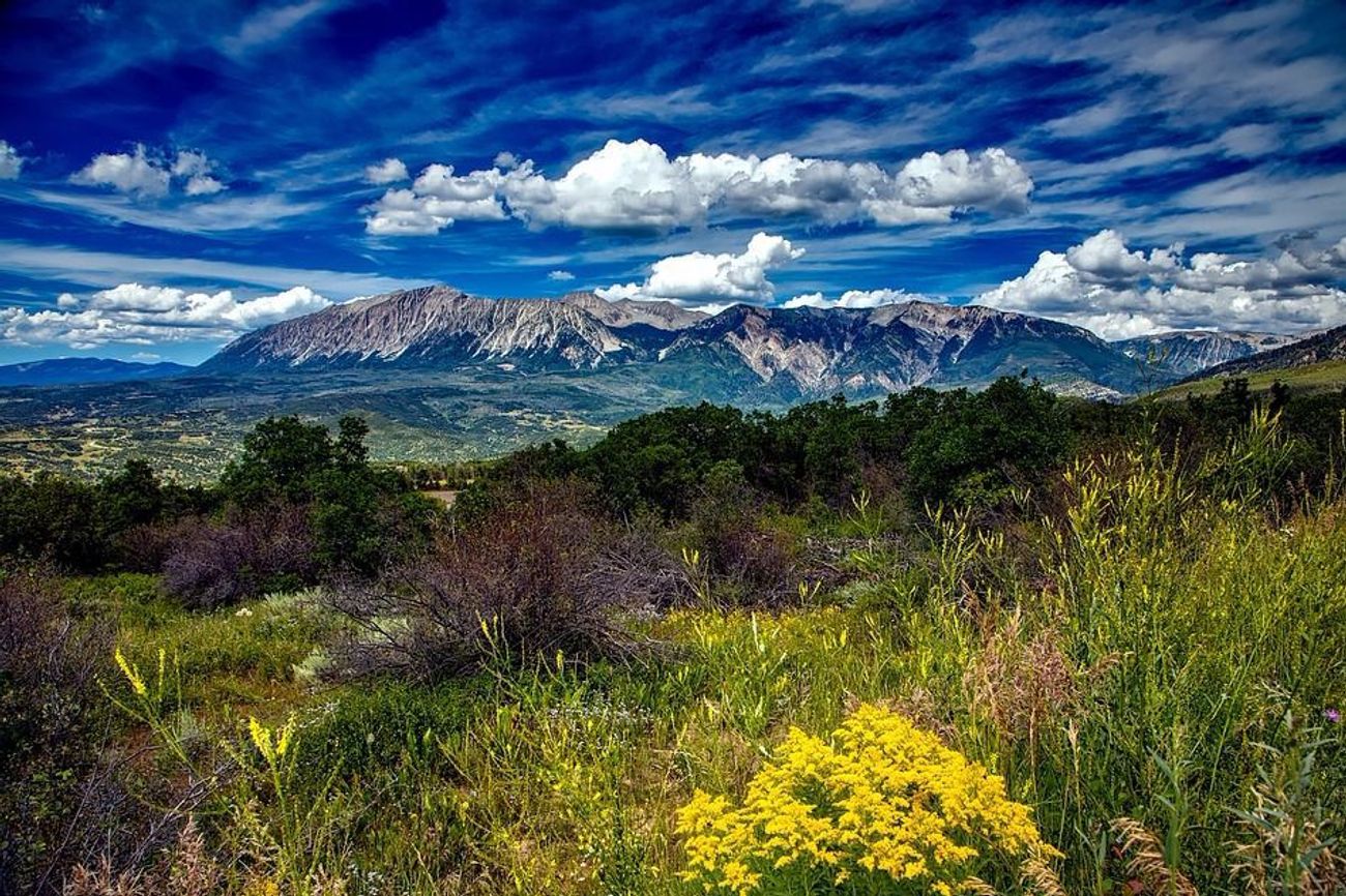 Un lycéen juif suspendu pour un prétendu incident antisémite