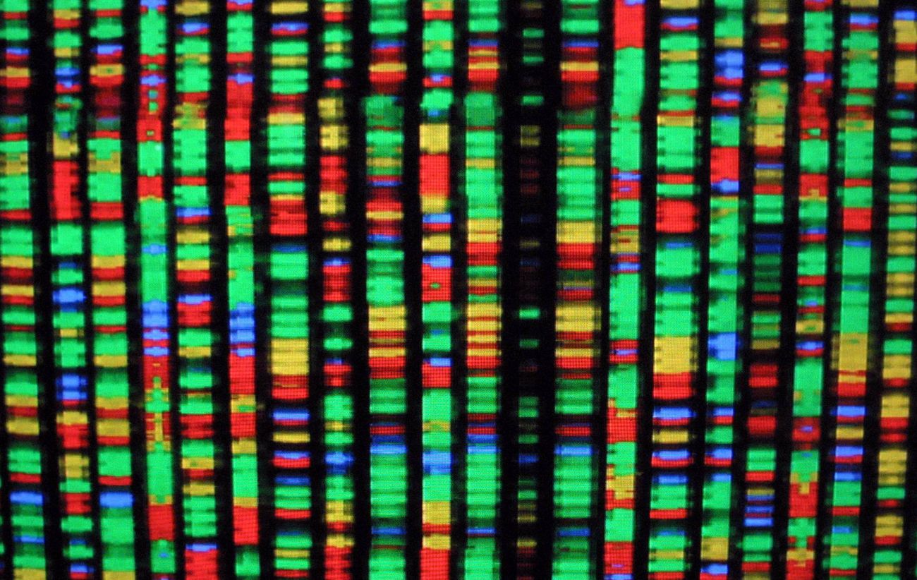 Comment l'Alt-Right manipule les données pour "prouver" l'existence de la race