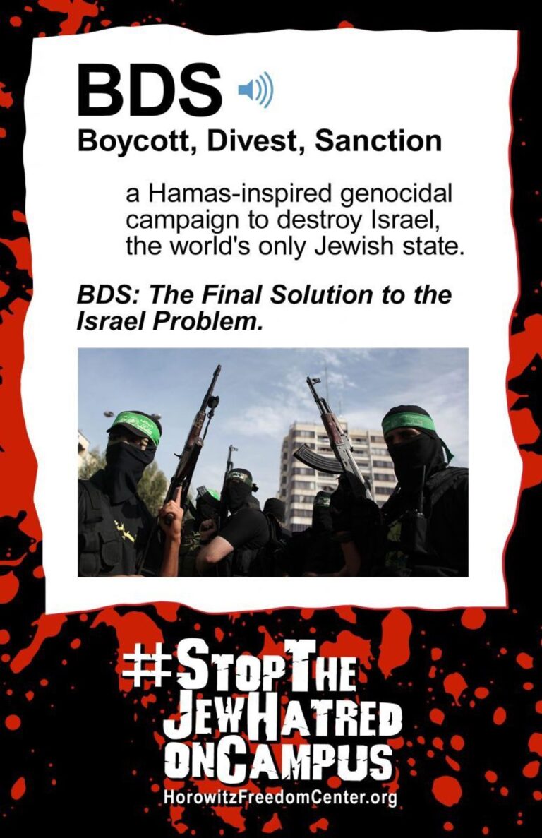 Des affiches pro-israéliennes incendiaires apparaissent sur le campus — Sont-elles islamophobes ?