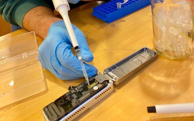 M.Sc.  en apprentissage automatique et science des données à l'école d'informatique Efi Arazi de l'université Reichman