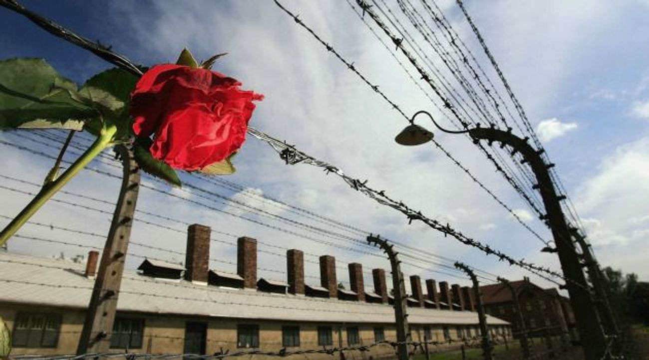 Un sondage en Pologne révèle un antisémitisme tenace au milieu des espoirs de renaissance juive