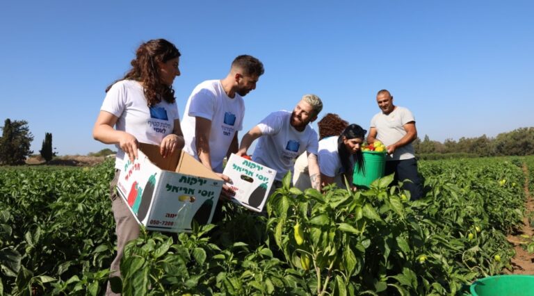 En pleine guerre, un groupe de sauvetage alimentaire ne compte plus sur la générosité des agriculteurs mais les aide à survivre