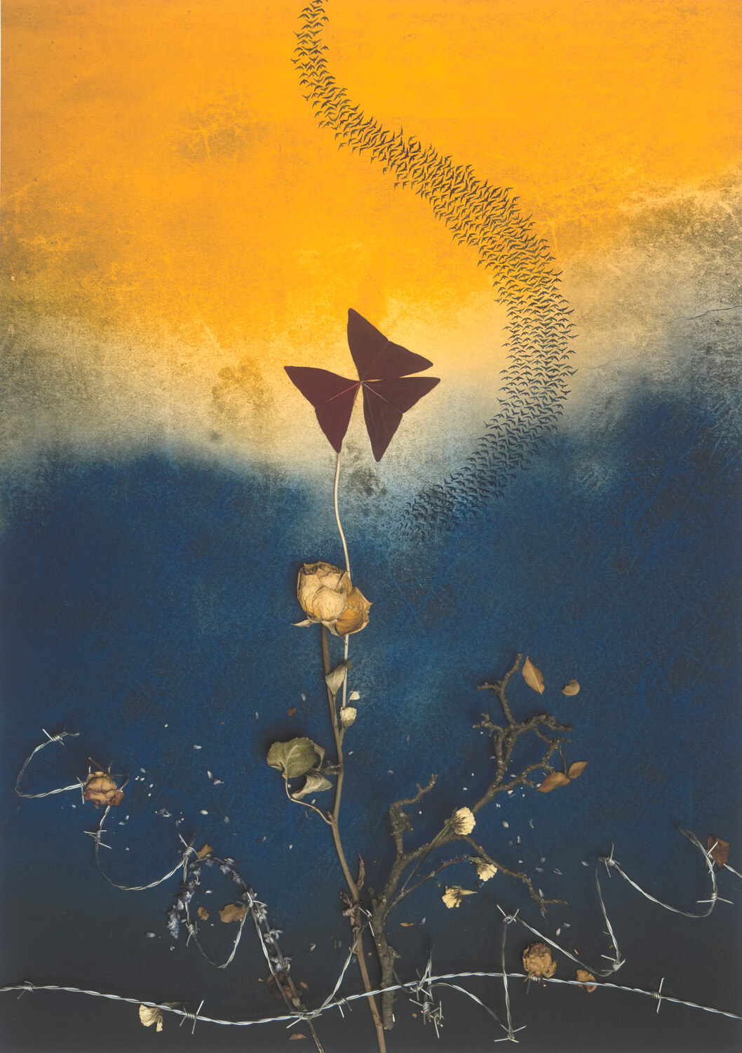 Oiseaux, barbelés, obscurité et soleil : le défi artistique de confectionner un manteau de Torah pour un rouleau de l'Holocauste