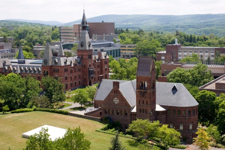 Les critiques divulguées par le président de Cornell à l'égard de la classe de Gaza suscitent de nouvelles querelles sur la liberté académique. Un message de notre éditrice et PDG Rachel Fishman Feddersen