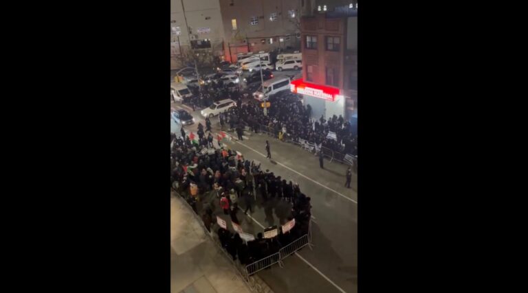 Les Brawls éclatent la manifestation pro-palestinienne environnante dans le quartier fortement juif de l'arrondissement park un message de notre éditeur et PDG Rachel Fishman Feddersen