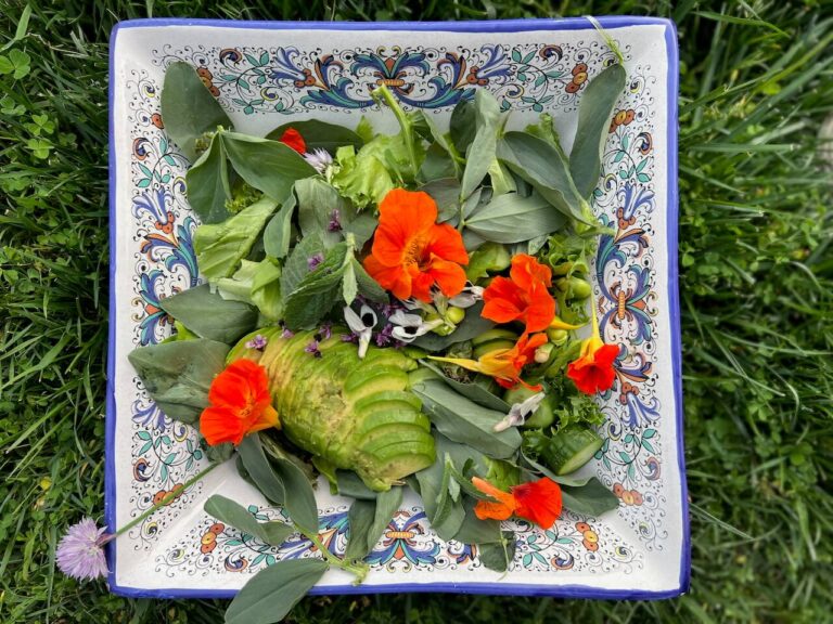 Cette Pâque, essayez une grande et glorieuse salade de printemps pour les Karpas l'attaquant est libre de lire, mais il n'est pas libre de produire