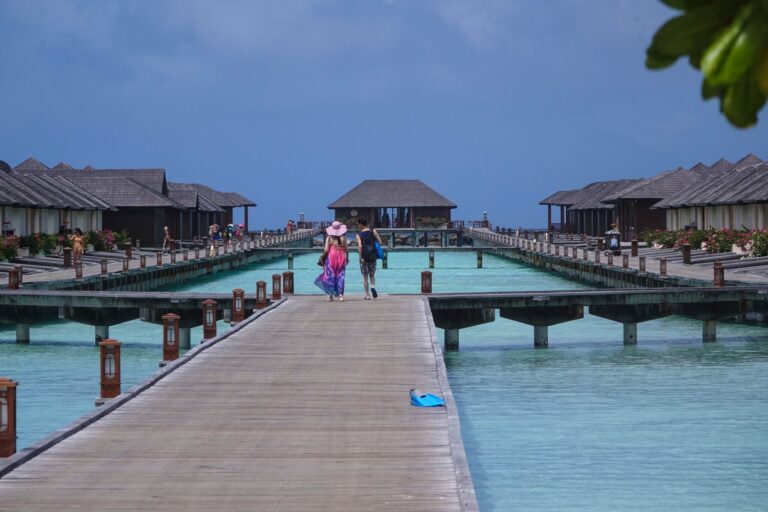 Les Israéliens ne peuvent plus entrer dans les Maldives après que l'interdiction palestinienne-solidarité entre en vigueur l'attaquant est libre de lire, mais il n'est pas libre de produire